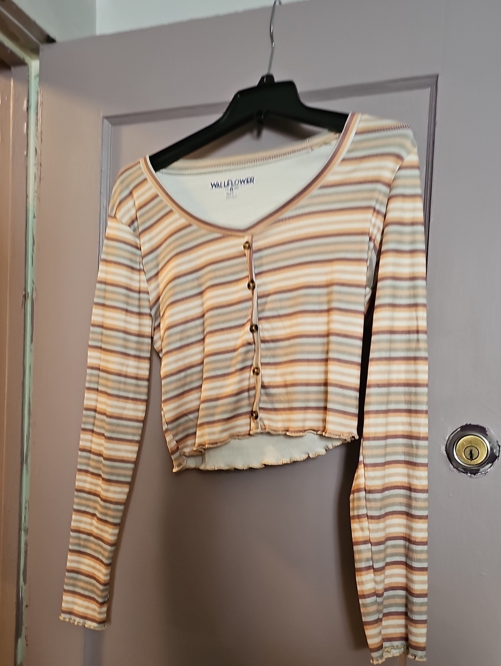 Wallflower Striped Button-Front Long-Sleeve Crop Top in Beige and Brown